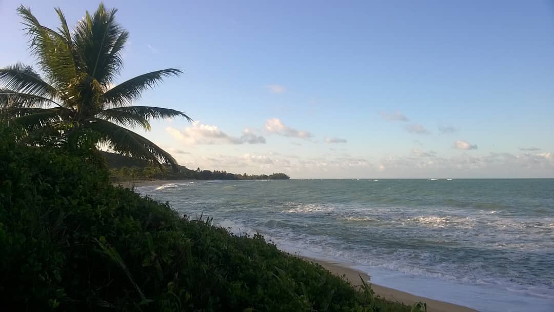  Praia dos Coqueiros / Oiapoque