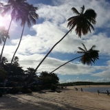 Praia Coroa do AviÃ£o