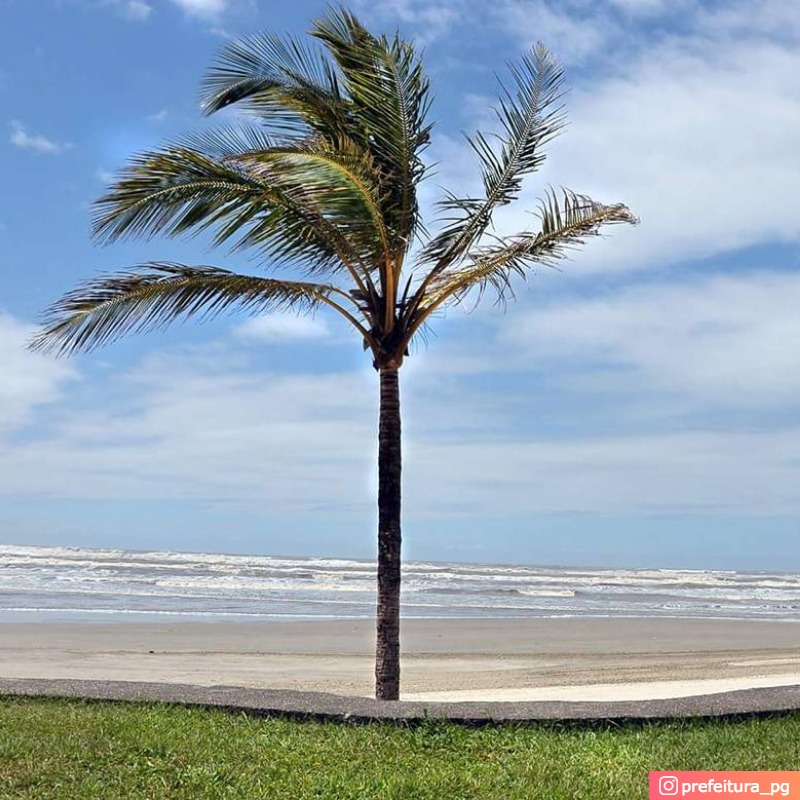 Praia da Vila CaiÃ§ara