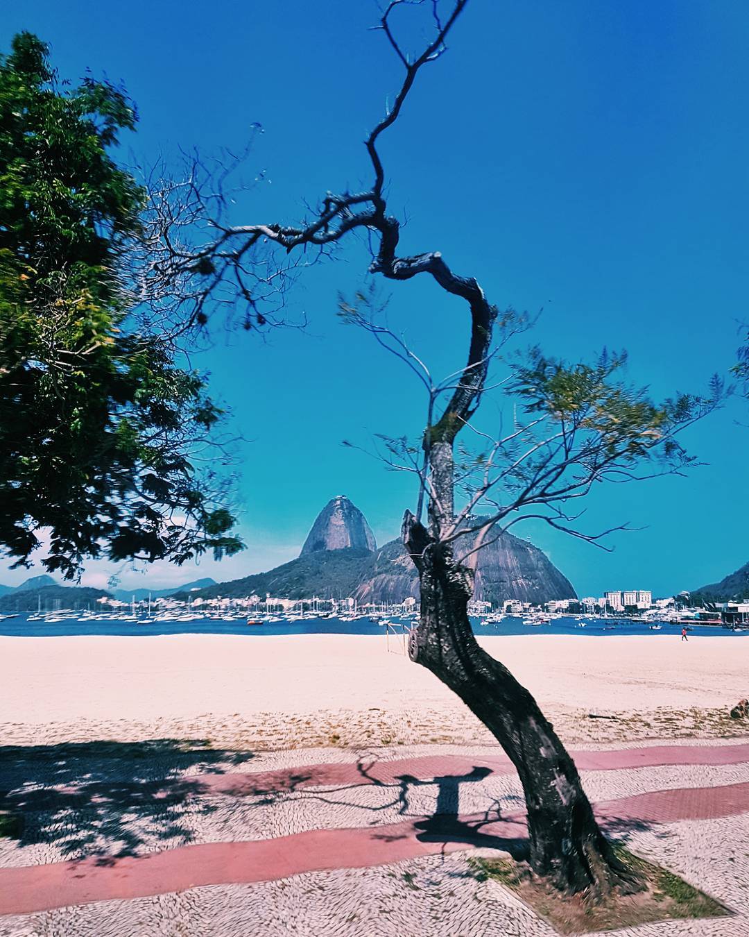 Praia-de-Botafogo
