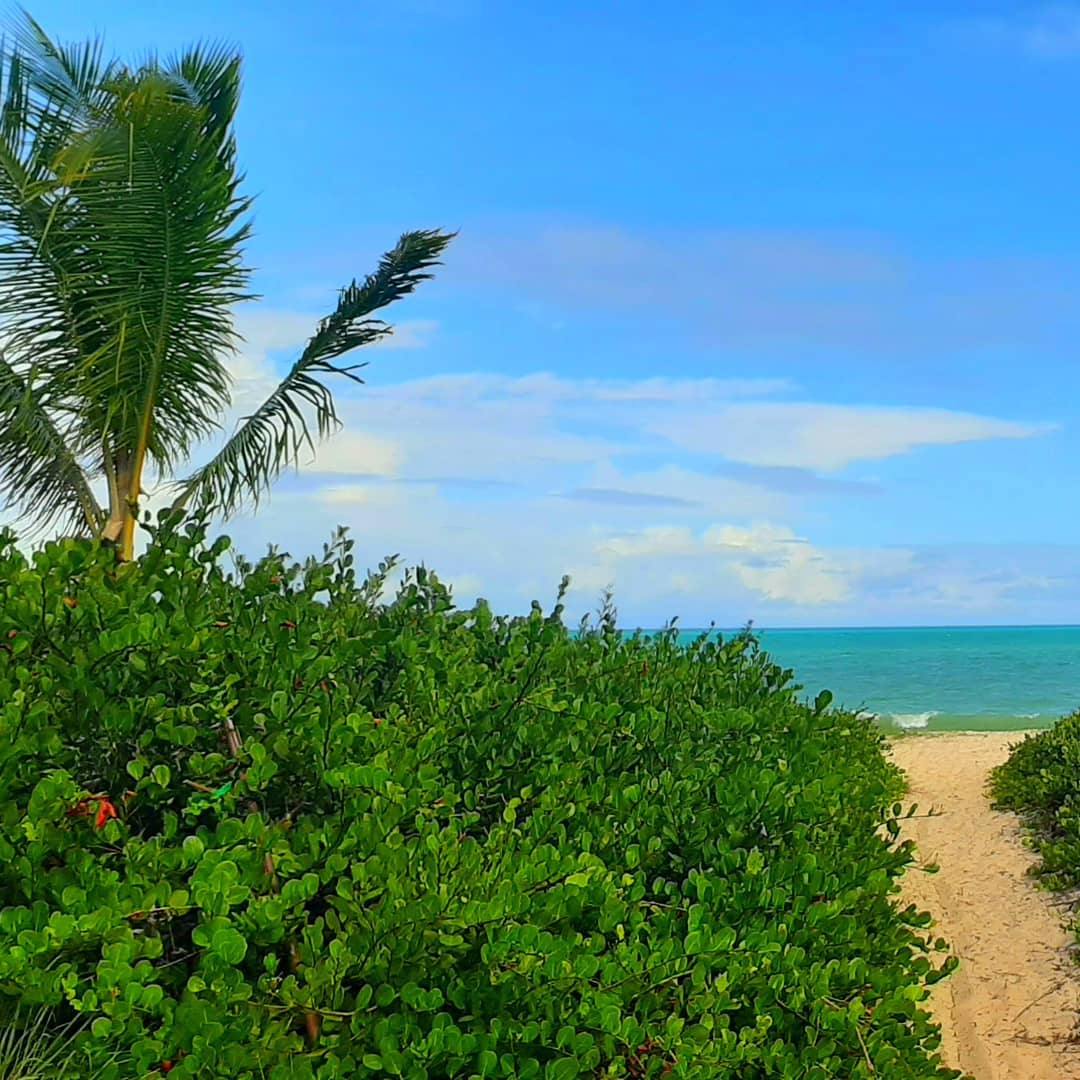 Praia de Carro Quebrado