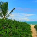 Praia de Carro Quebrado / Oiapoque