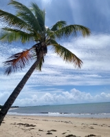 Praia de CuruÃ­pe