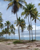 Praia de Guadalupe / Oiapoque