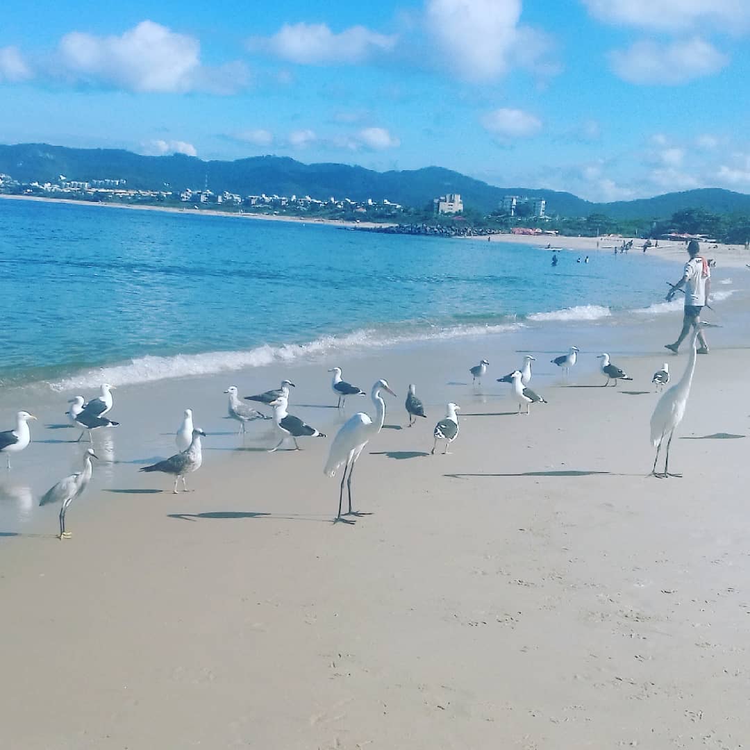 Praia de ItaipÃº