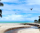 Praia de XarÃ©u