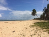 Praia do Gunga / Oiapoque
